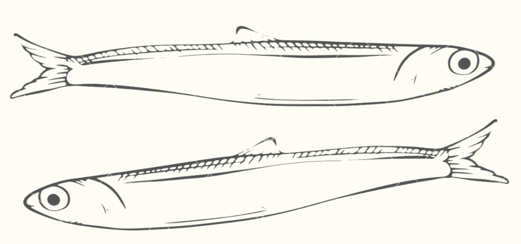 Woody's Pizza Anchovies Clip Art