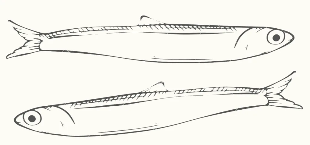 Woody's Pizza Anchovies Clip Art