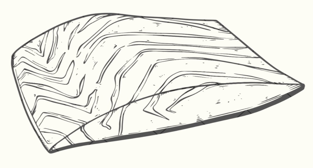 Woody's Pizza Salmon Clip Art