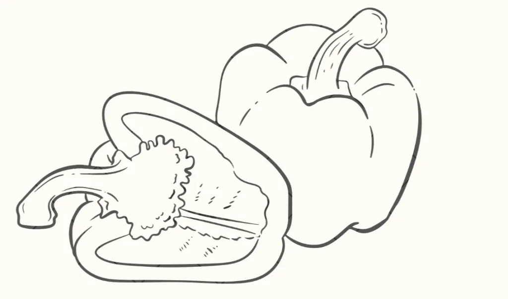 Woody's Pizza Capsicum Clip Art