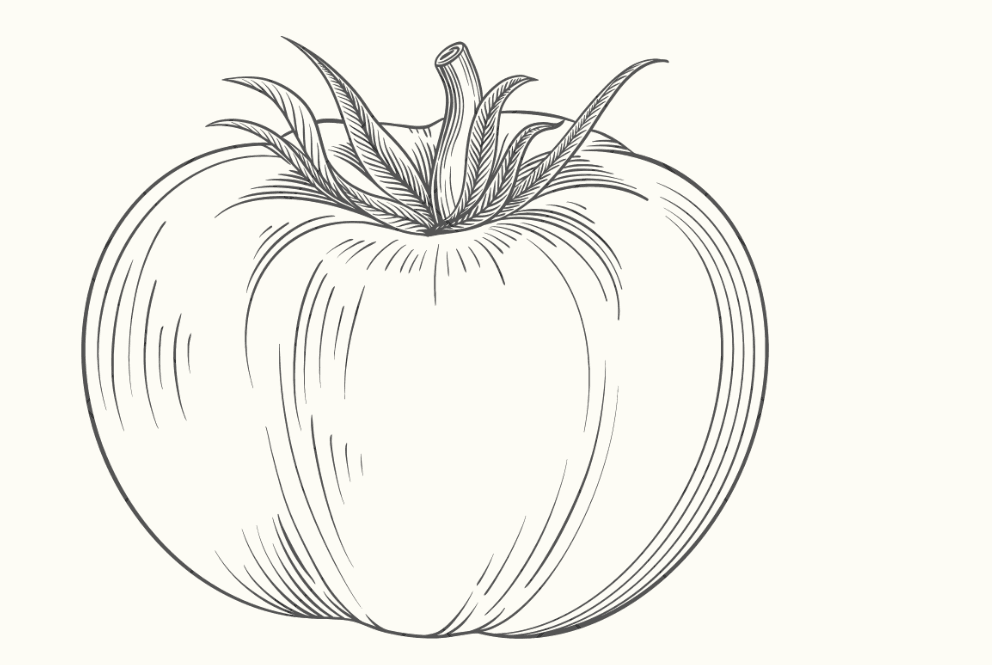 Woody's Pizza Tomato Clip Art