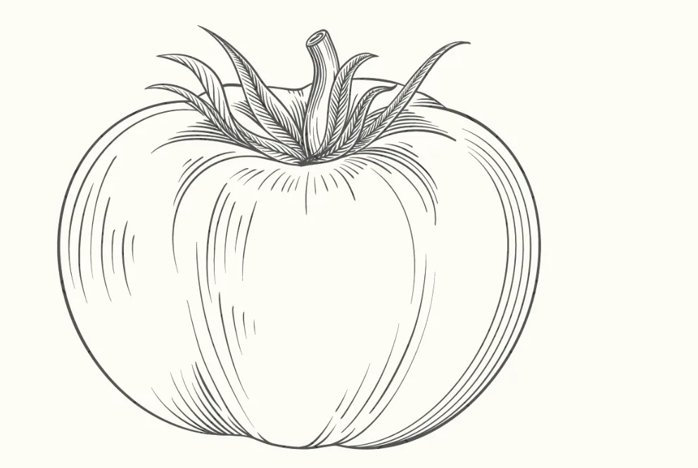 Woody's Pizza Tomato Clip Art